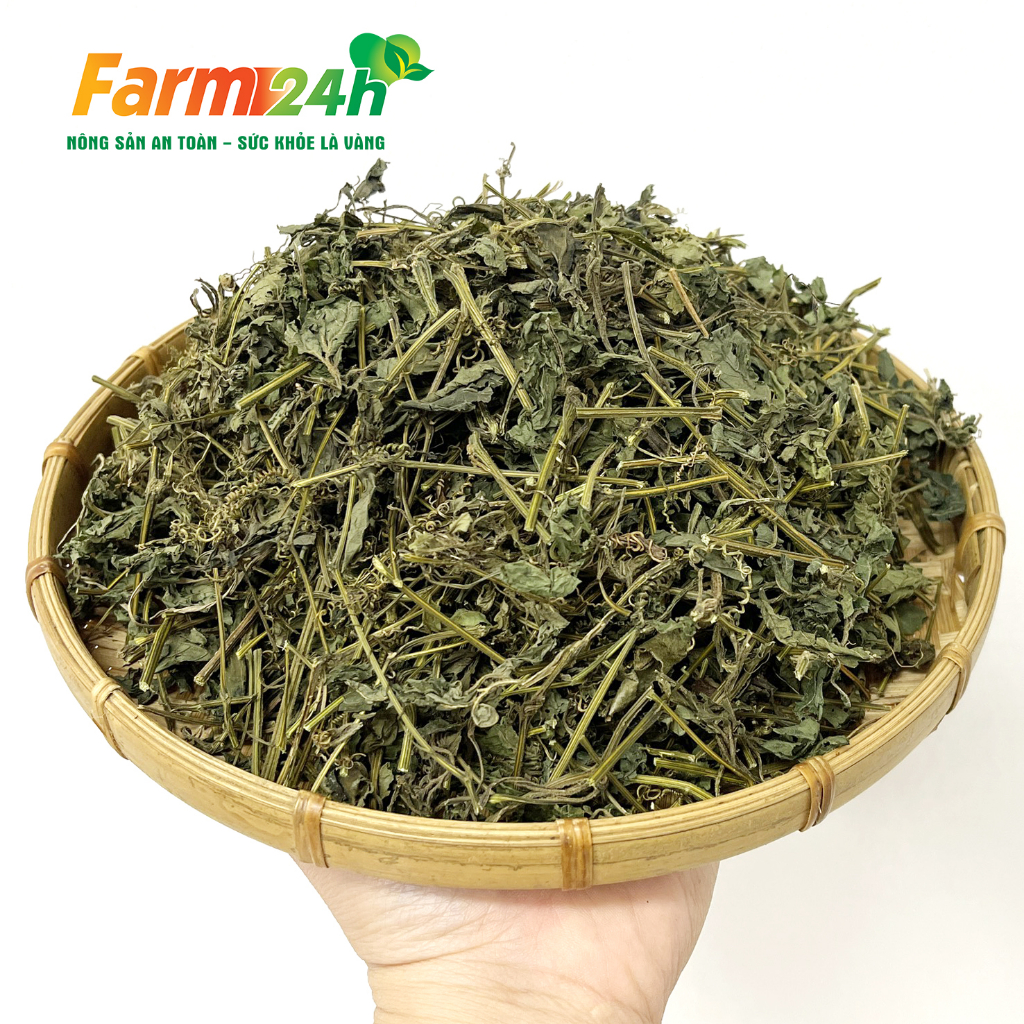 Trà giảo cổ lam 7 lá Sapa chính hiệu, giảm cholesterol trong máu, lưu thông máu não, ngừa tai biến, đột quỵ