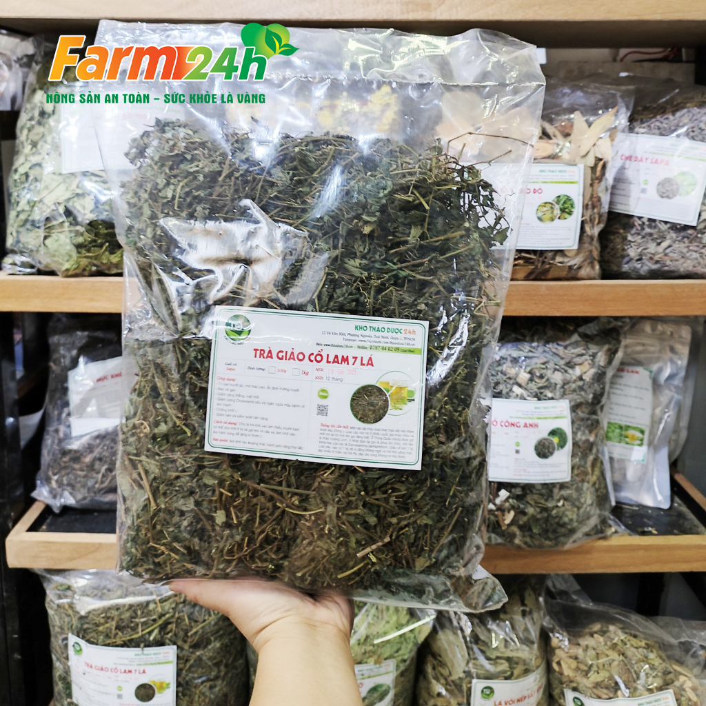 Trà giảo cổ lam 7 lá Sapa chính hiệu, giảm cholesterol trong máu, lưu thông máu não, ngừa tai biến, đột quỵ