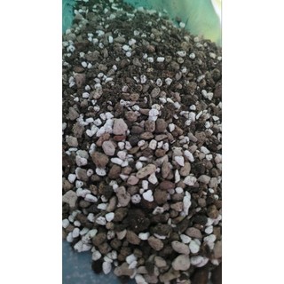 đất soil mix túi 1kg
