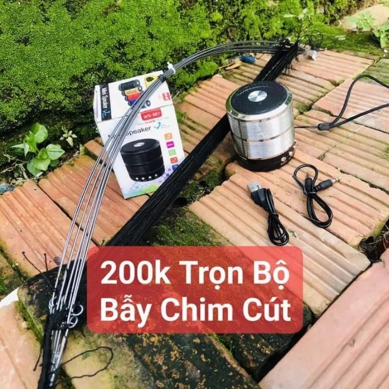 Combo 10 cung bẫy chim cút và 1 bộ loa kèm thẻ nhớ tiếng chim cút.