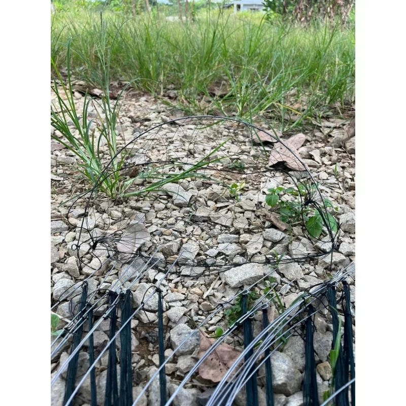 Combo 10 cung bẫy chim cút và 1 bộ loa kèm thẻ nhớ tiếng chim cút.