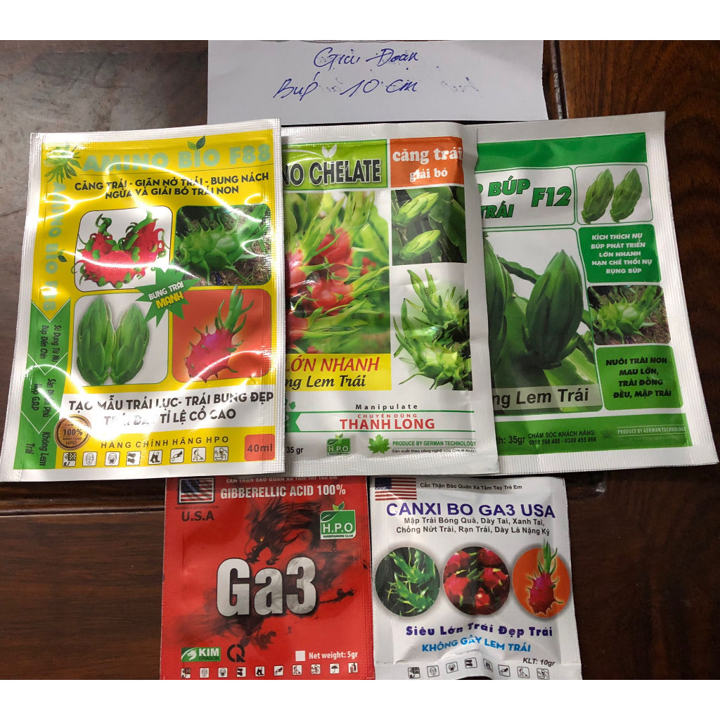 COMBO 1 BỘ BÚP TRÁI CAU ĐẦY ĐỦ HPO - MẬP BÚP PHÌ NỤ CHỐNG RỤNG NỤ