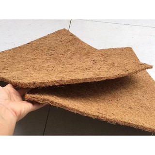 thảm sơ dừa 50x50x1cm