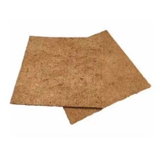 Thảm sơ dừa 50x50x1cm