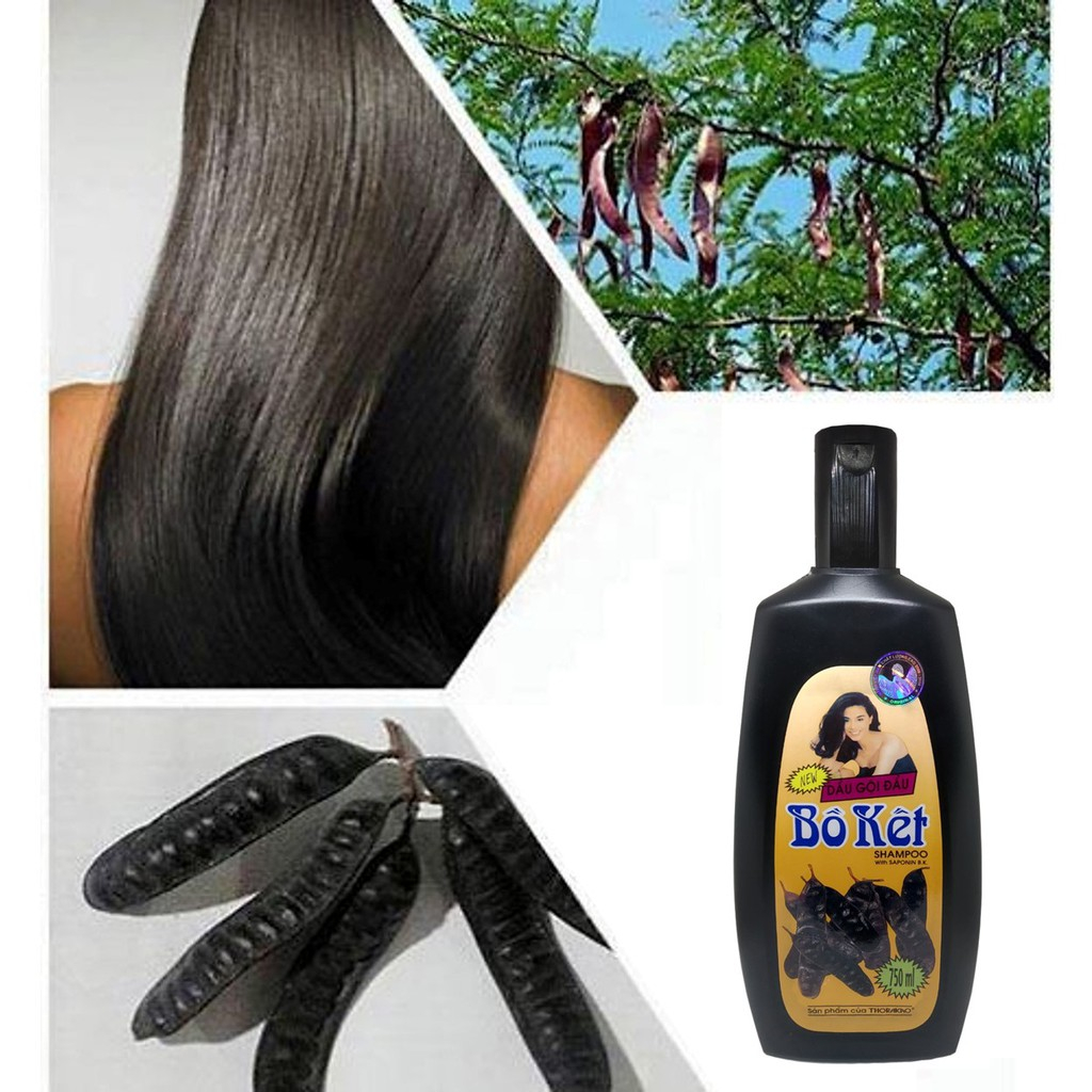 CHÍNH HÃNG THORAKAO GỘI BỒ KẾT 750 MIL