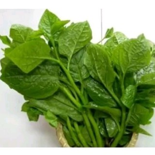 20gram hạt giống rau mồng tơi