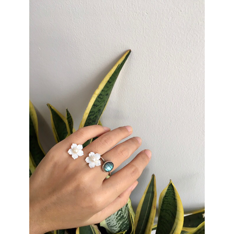 Bông tai hạt 5,3li, akoya mới 100%
