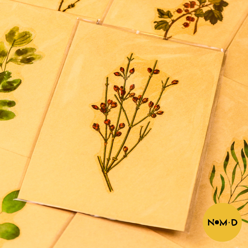 Thiệp Simple Hoa Lá Vintage Độc Đáo Ngẫu Nhiên - NOMAD GARDEN