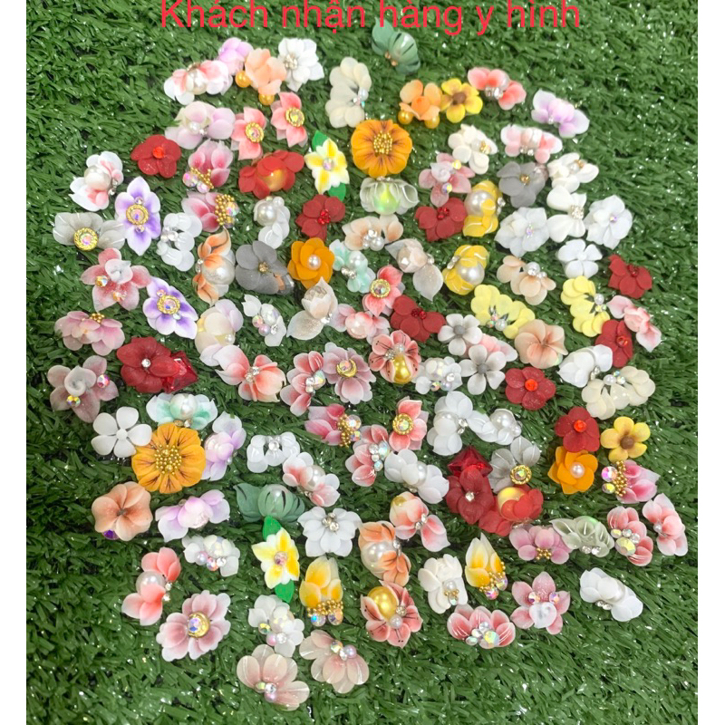 Hoa bột sĩ 100b nn tay chân