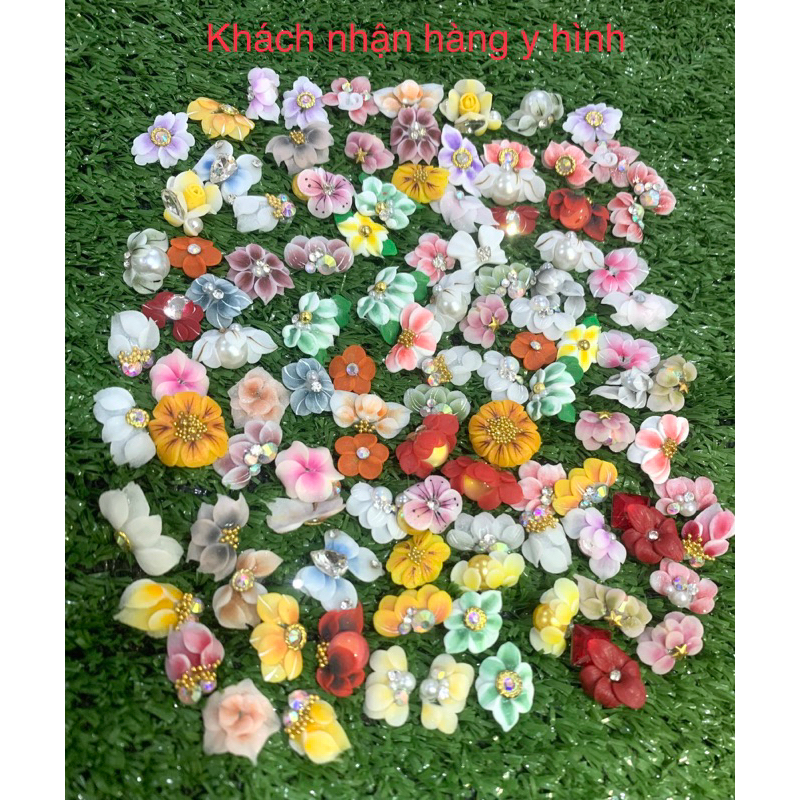 Hoa bột 100b ôm móng tay chân