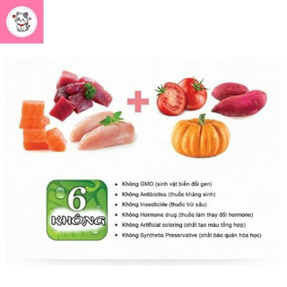 Thức Ăn Cho Mèo Con Hạt ANF