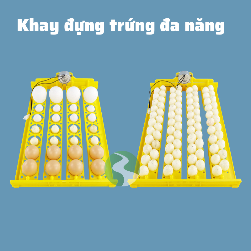 Khay đảo trứng tự động Dương Ninh 56 trứng KD96