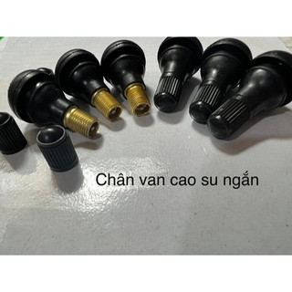 Chân van cao su xe máy- Van vòi không ruột xe đạp điện