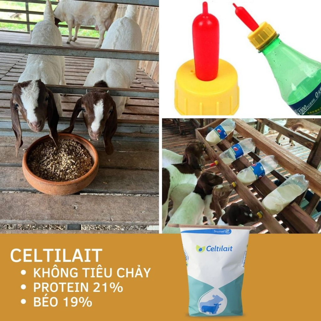 1kg sữa celtilait, cho dê con, bê con, thú non, sữa thay thế, chăn nuôi