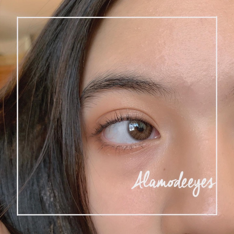 Lens nâu gỗ nhẹ