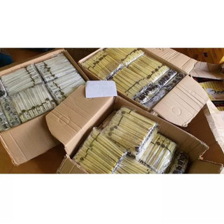 Nến xông tai thải độc thư giãn(bịch 50 đôi)