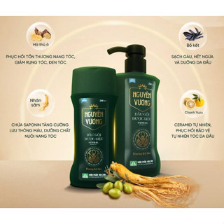  Dầu gội dược liệu Nguyên Vương dành cho Nam giới_Hương thơm lịch lãm 