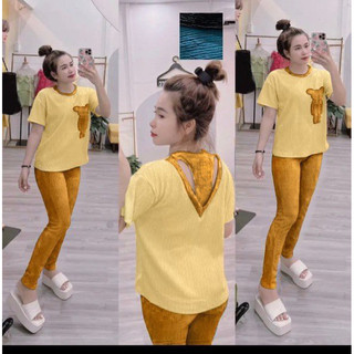 SÉT THỂ THAO THÊU GẤU CHẤT THUN XỐP BIGSIZE Nữ từ 68-95kg