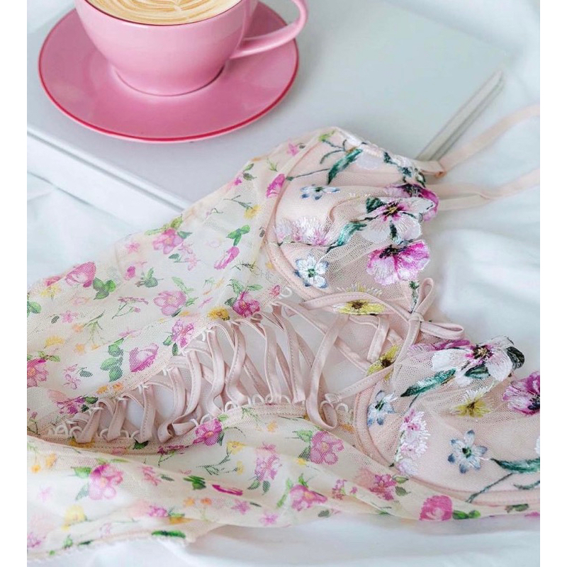 Tổng hợp Teddy / lingeria Victoria’s Secret