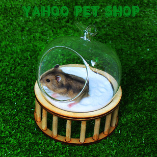 Nhà ngủ, nhà tắm thủy tinh hamster bear và hamster nhỏ