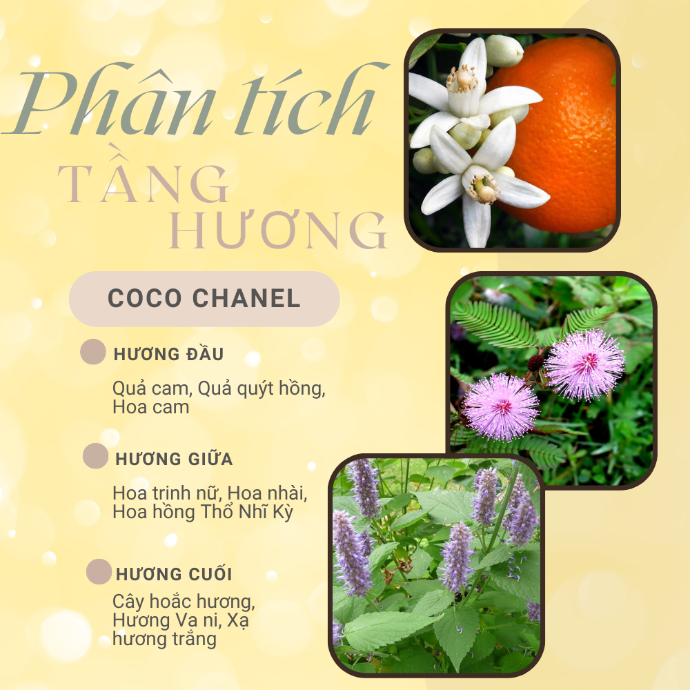 Nước Hoa Nữ Chanel.Coco.Mademoiselle.Intense EDP chiết 10ml phong cách gợi cảm quyến rũ- Babycat Store | BigBuy360 - bigbuy360.vn