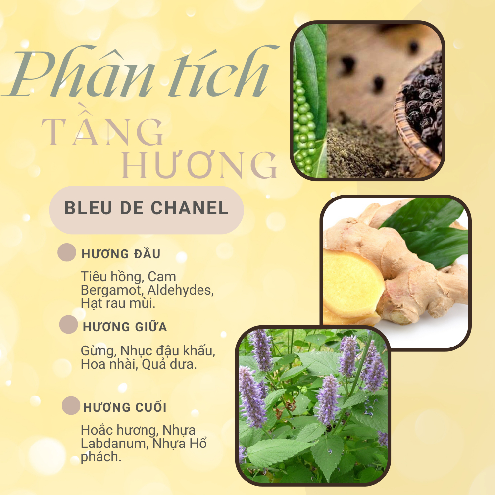 Nước hoa nam Bleu.De.Chanel.EDP chiết 10ml dầu thơm mạnh mẽ, nam tính, sang trọng- Babycat Store