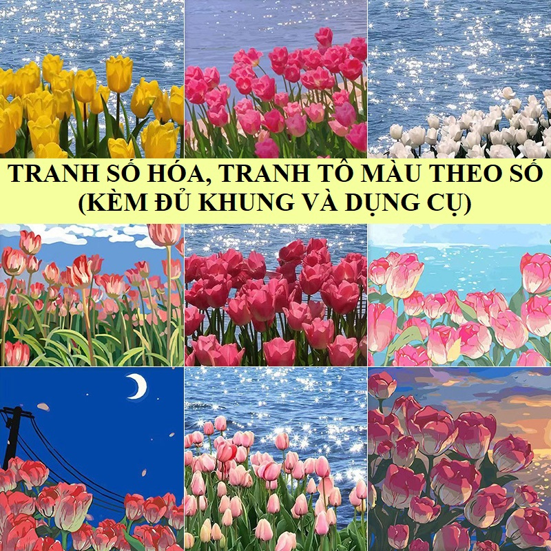 (HCM) Tranh Số Hóa , tranh tô màu theo số HOA TULIP COMBO KÈM KHUNG VÀ DỤNG CỤ VẼ - Tổng Hợp Nhiều Mẫu Mã