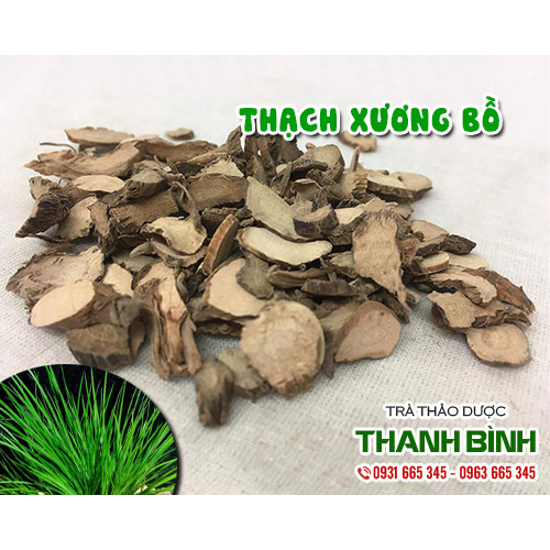 Thạch Xương Bồ - 100g Hàng Công Ty Thảo Dược Thanh Bình