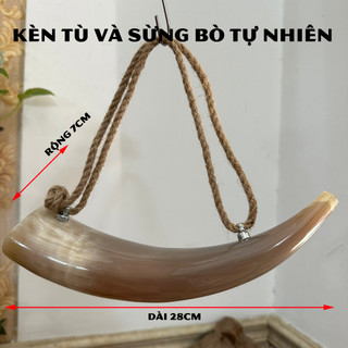 [Loại đẹp] Kèn tù và sừng bò tự nhiên - Lưỡi gà bằng đồng cho âm thanh to vang xa - Màu sắc sừng tự nhiên
