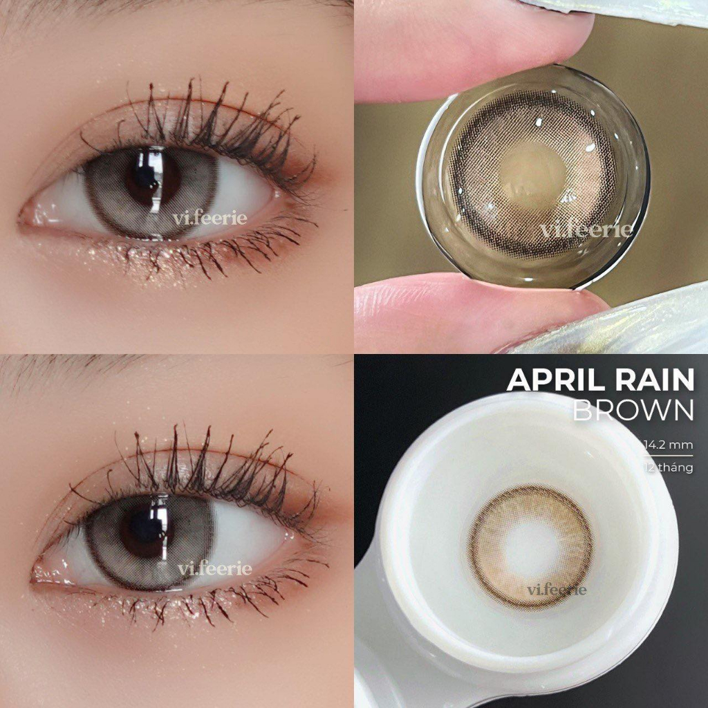 Kính áp tròng (lens) nâu April Rain Brown đủ độ cận-VF Lens