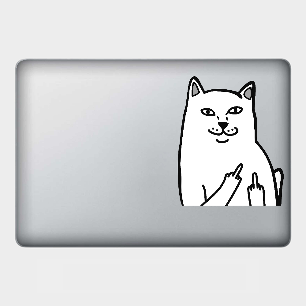 Miếng dán decal skin trong suốt cho laptop in hình theo yêu cầu cho Asus Acer Dell Hp Lenovo Thinkpad Vaio Toshiba MSI