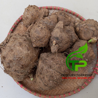 1kg Củ Ngải Chống Độc tươi