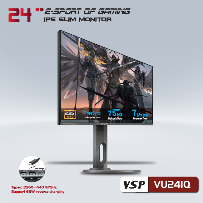 Màn hình phẵng VSP 24inch 2K eSport Gaming VU241Q - QHD /USB-C Type-C