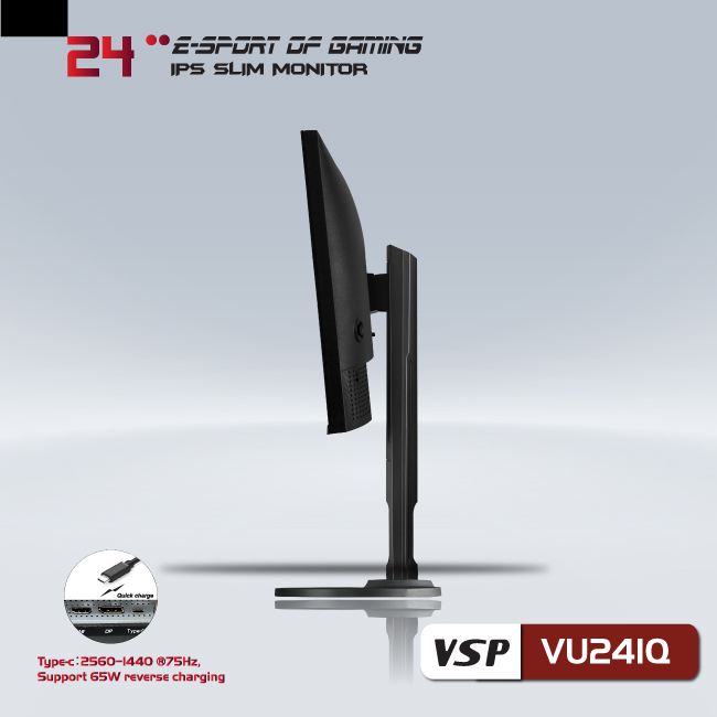 Màn hình phẵng VSP 24inch 2K eSport Gaming VU241Q - QHD /USB-C Type-C