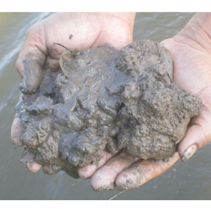 10 kg Đất bùn trồng sen, đất phù sa, phơi khô và đất ước bảo đảm tốt cho sen súng.