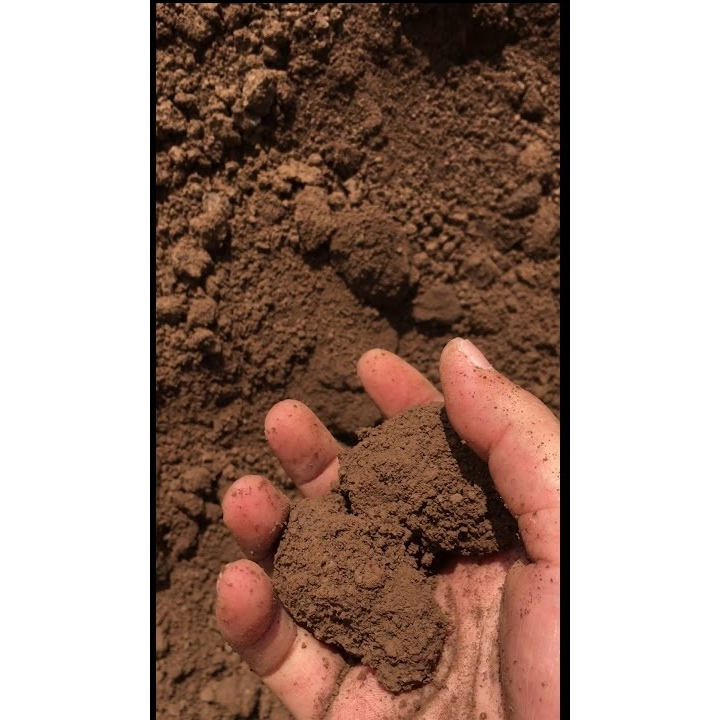 10 kg Đất bùn trồng sen, đất phù sa, phơi khô và đất ước bảo đảm tốt cho sen súng.