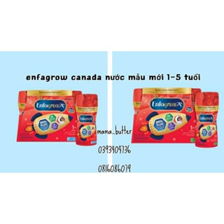 Sữa enfagrow canada nước_lốc 6hộp