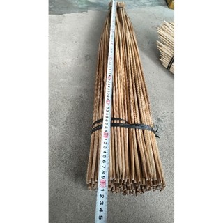 COMPO 50 CẦN CÂU TRE CẮM CÁ CHƯA TÓM LƯỠI(CAO 9T, 1M)