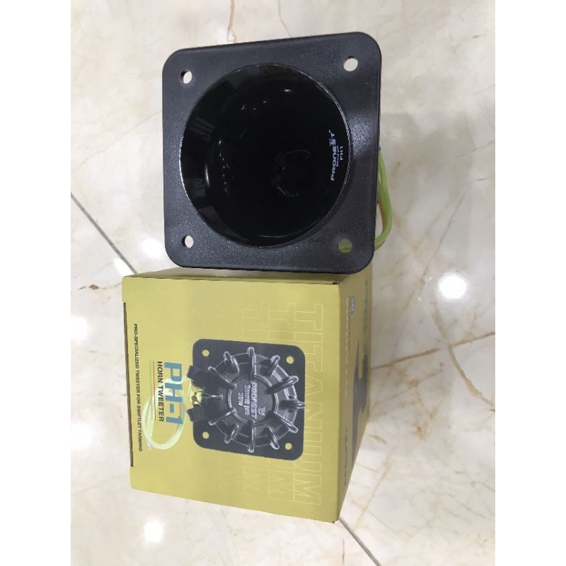 loa dẫn, loa nam châm  ph1