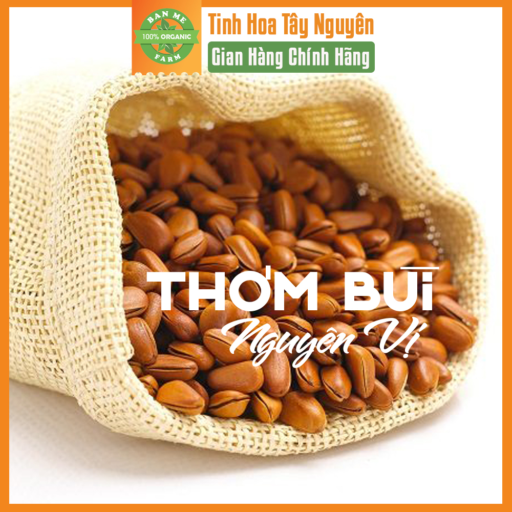 Hạt Thông Tây Nguyên Chính Hãng BANMEFARM Sấy Chín Nguyên Vị Ngon Giòn Tan, Thơm Bùi Hạt Dinh Dưỡng Healthy 250gr