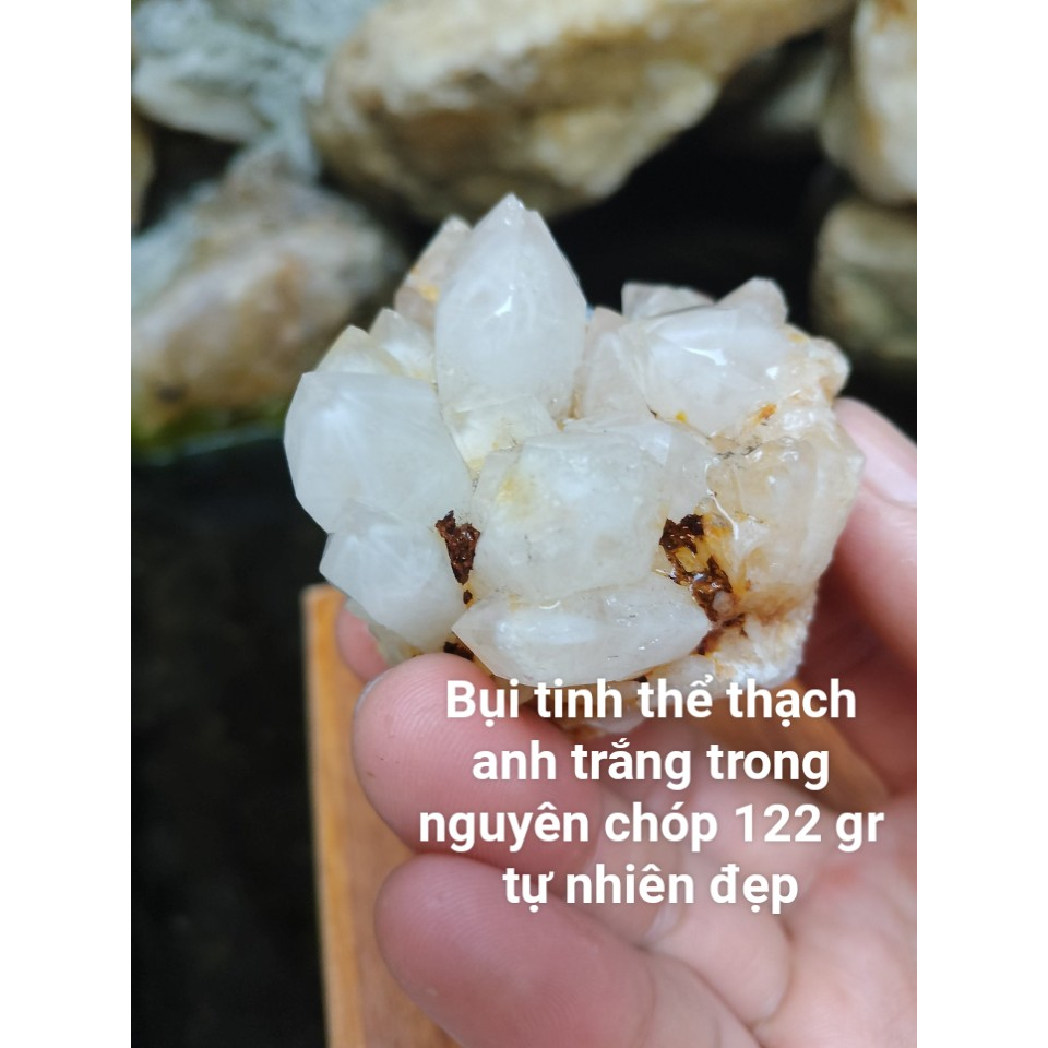 Bụi Thach Anh Tinh Thể Trắng Trong Trưng Bày Phong Thủy, Dùng Làm Đá Thanh Tẩy, Sưu Tầm, Dùng Trong Reik