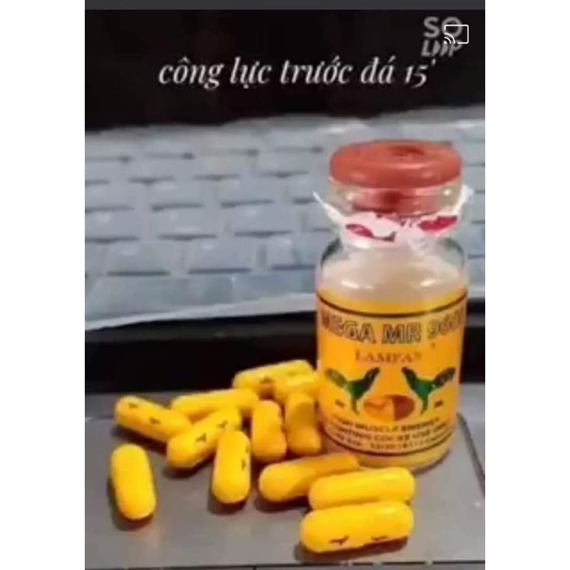 Công vip lampam,công xanh gà chọi gà nòi gà đá gà đòn gà tre