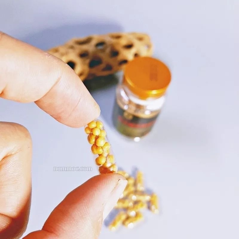 Phân nhét gốc cây thủy sinh  nguyên seal, chính hãng - Phân nhét đậm đặc - Xanh Guppy