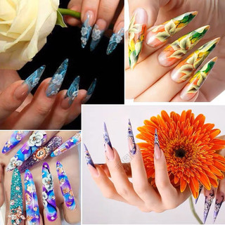Móng mẫu nhọn tập vẽ - set 240 móng