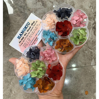 [HANGKIU] HOA KHÔ CẨM TÚ CẦU MIX MÀU