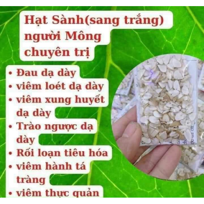 Hạt Sành Hạt Dạ Dàyy