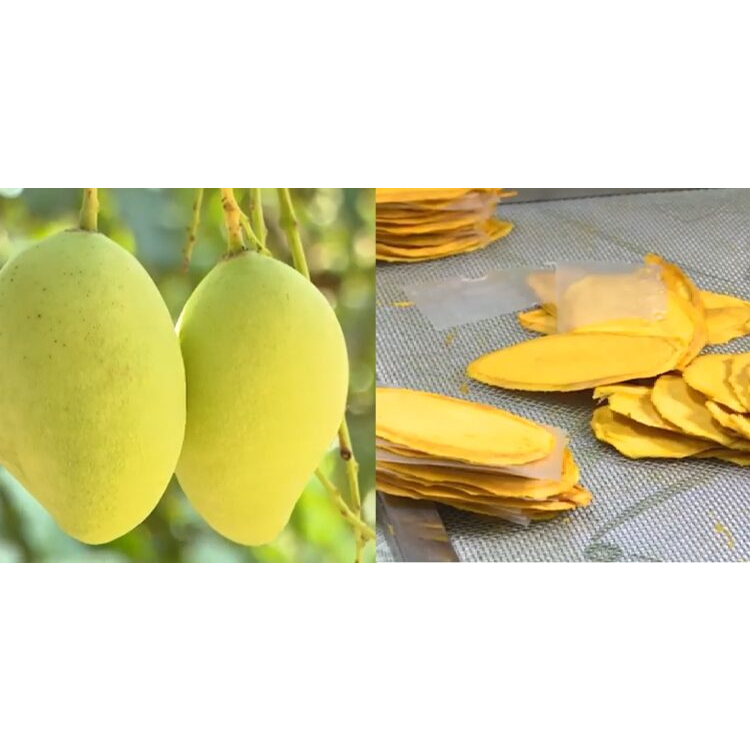 500GRAM XOÀI SẤY DẺO CÁT CHU THƯỢNG HẠNG ĐẶC SẢN ĐỒNG THÁP túi zip 500gram