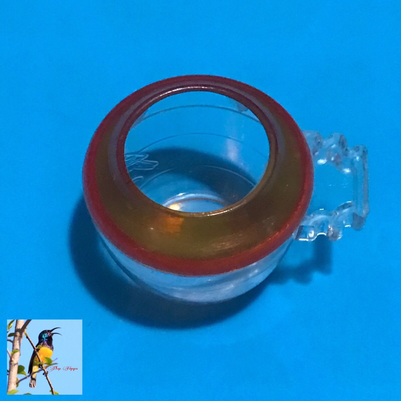 Cái Cóng Ăn Cóng Uống Cho Chim Cảnh