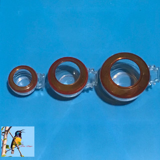 Cái cóng ăn cóng uống cho chim cảnh