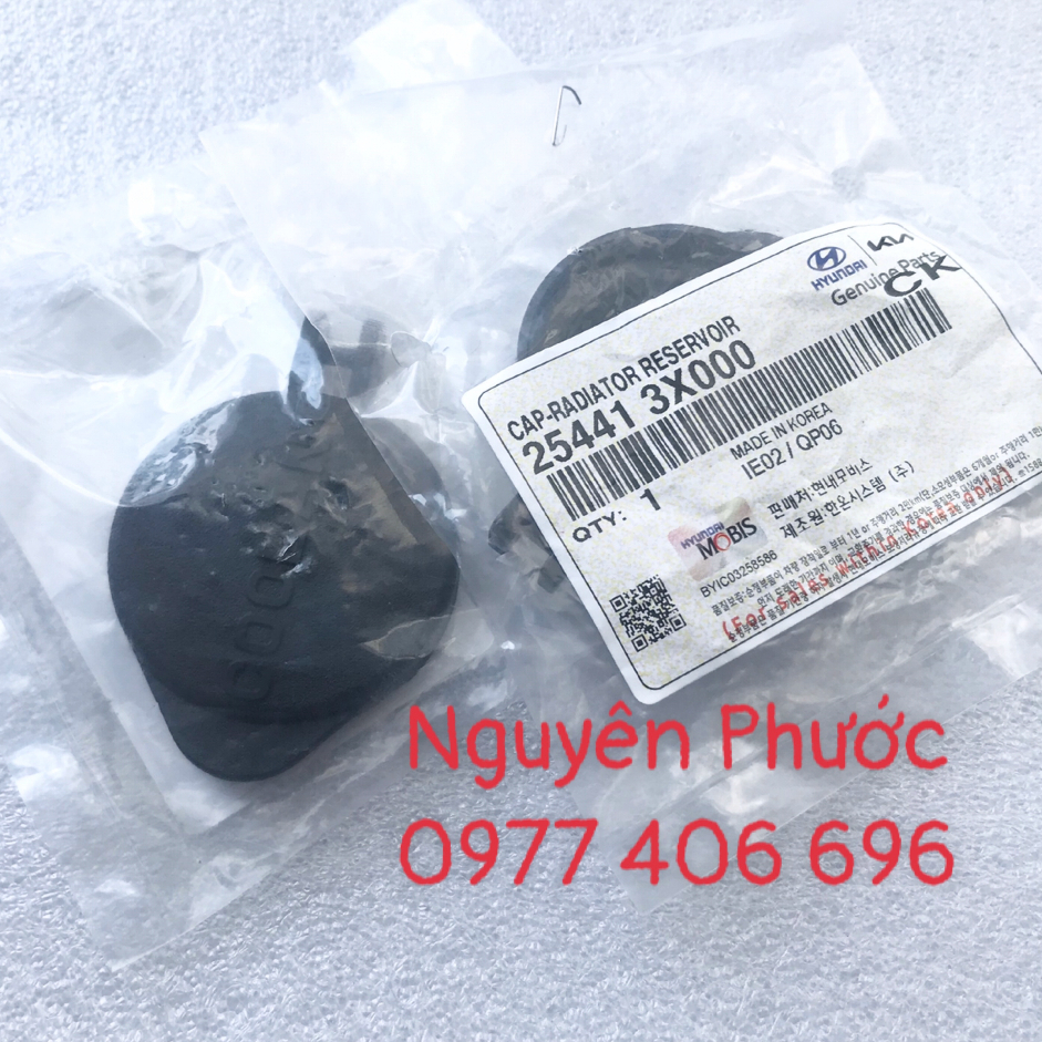 Nắp bình nước phụ HYUNDAI/KIA: GRAND I10, ELANTRA 08 - 19, I30 MY12, CRETA, MORNING 12 - 20, FORTE/CERATO, K3...